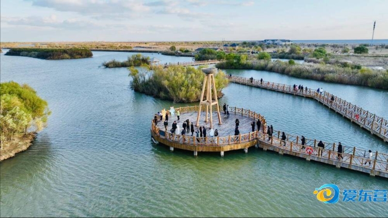 国米后防线 国米后防线